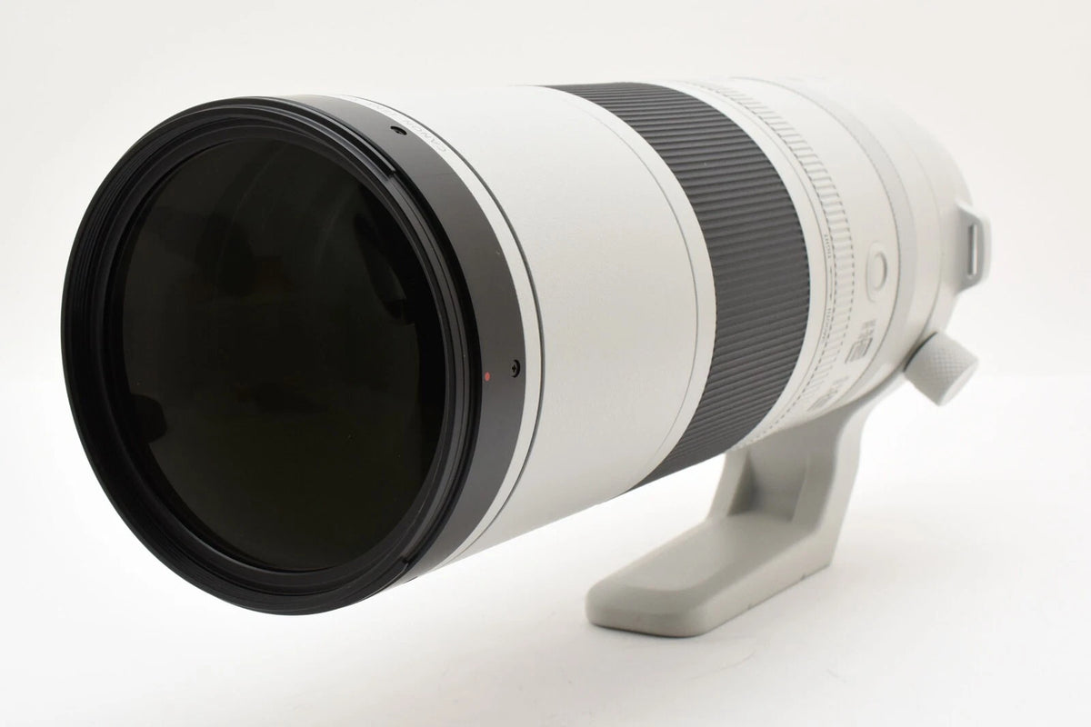 Canon RF 200-800mm f/6.3-9 IS USM Lens