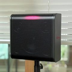 LG xboom STAGE 301 Bluetooth Speaker Portable Speaker Signature Sound / Express