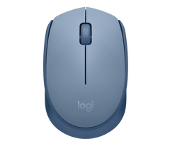 Logitech Wireless Mouse M171/170