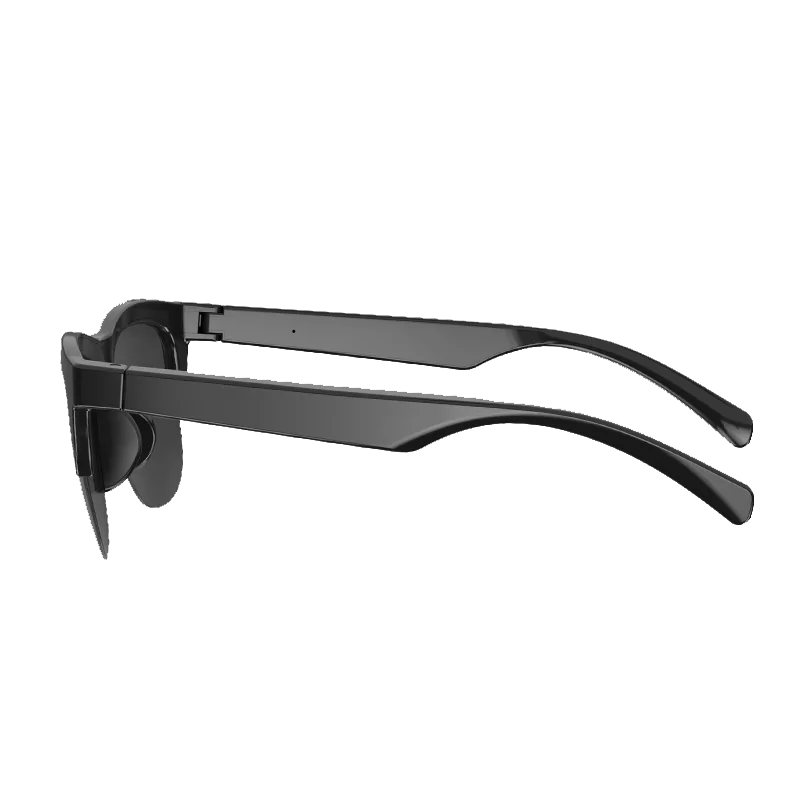 Vision Plus Sunnies smart sun glasses