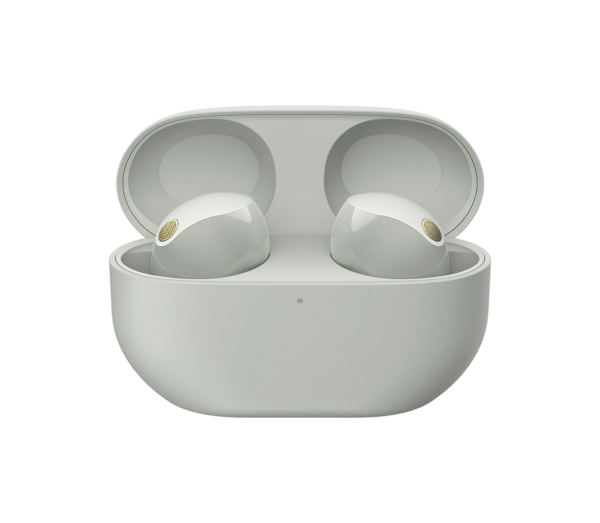Sony WF-1000XM5 TWS NC Earbuds